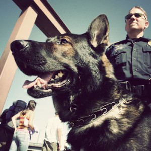 drug_dog_cop