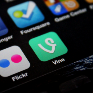 vine